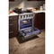 THOR Kitchen 30 in. Natural Gas Burner/Electric Oven Range in Stainless Steel, HRD3088U
