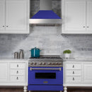 ZLINE 30 in. Ducted DuraSnow® Stainless Steel Range Hood with Blue Matte Shell, 8654BM-30