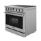 THOR Kitchen 36" Contemporary Professional Electric Range, ARE36