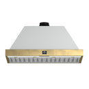 FORNO Espresso Vittorio 48" 600 CFM Wall Mount Range Hood in White and Antique Brass Trim with Remote Control, FRHWM5078-48WHT