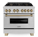 ZLINE Autograph Package - 36 In. Dual Fuel Range, Range Hood, Refrigerator, and Dishwasher in Black Stainless Steel with Champagne Bronze Accents, 4AKPR-RABRHDWV36-CB