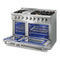 THOR Kitchen 48 in. Natural Gas Burner, Electric Oven 6.7 cu. ft. Range in Stainless Steel, HRD4803U