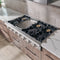 THOR Kitchen 48 inch Gas Professional Rangetop in Stainless Steel, HRT4806U