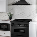 ZLINE 36" 4.6 cu. ft. Induction Range with a 5 Element Stove and Electric Oven in Black Stainless Steel, RAIND-BS-36