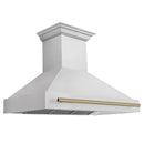 ZLINE Autograph 48 Inch DuraSnow® Stainless Steel Range Hood with DuraSnow® Shell and Champagne Bronze Handle, 8654SNZ-48-CB