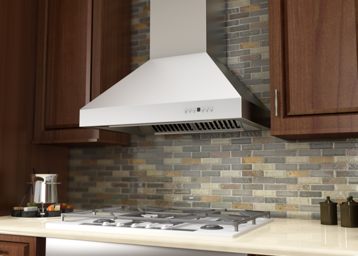 ZLINE 48 in. Professional Ducted Wall Mount Range Hood in Stainless Steel, 667-48