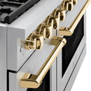 ZLINE Autograph 48" 6.7 cu. ft. Paramount Double Oven Gas Range in Stainless Steel and Gold Accents, SGRZ-48-G