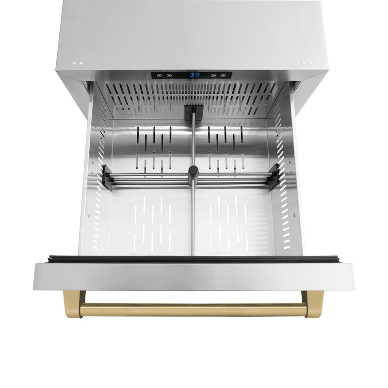 ZLINE Autograph 24" Touchstone 168 Can Outdoor-Rated Refrigerator Drawer with Stainless Steel Doors and Champagne Bronze Handles, RDSOZ-ST-24-CB