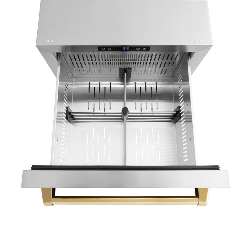ZLINE Autograph 24" Touchstone 168 Can Outdoor-Rated Refrigerator Drawer with Stainless Steel Doors and Polished Gold Handles, RDSOZ-ST-24-G