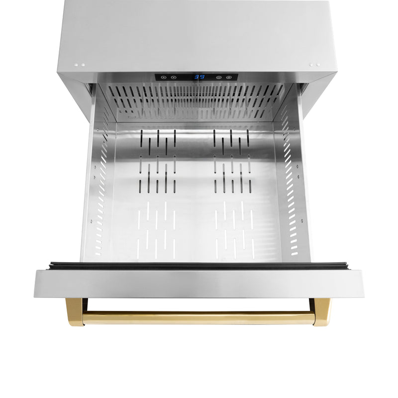 ZLINE Autograph 24" Touchstone 168 Can Outdoor-Rated Refrigerator Drawer with Stainless Steel Doors and Polished Gold Handles, RDSOZ-ST-24-G
