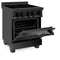 ZLINE 24" 2.8 cu. ft. Induction Range with a 4 Element Stove and Electric Oven in Black Stainless Steel, RAIND-BS-24