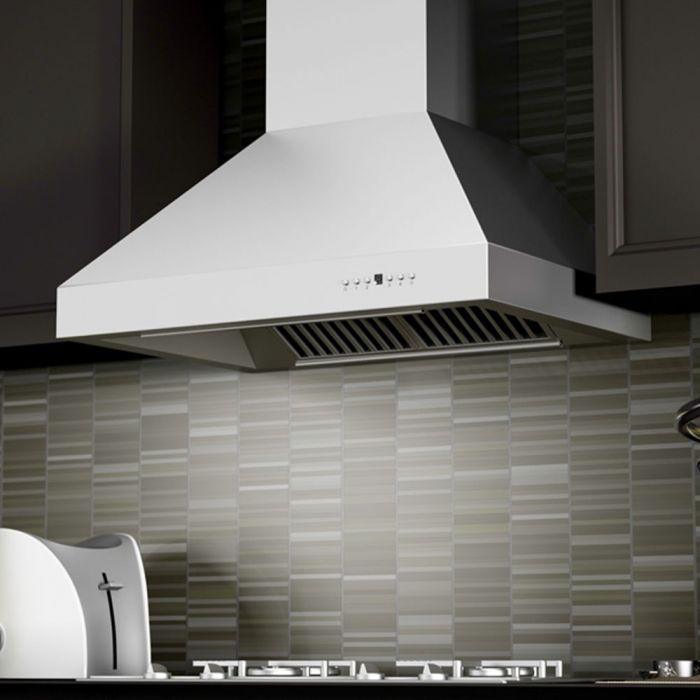 ZLINE 30 In. Convertible Outdoor Wall Mount Range Hood in Outdoor Approved Stainless Steel, 667-304-30