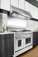 NXR - RH4801 48" Professional Under Cabinet Range Hood - Stainless Steel